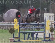 De Simone Teddy TosTour 2013- S5 7827 : Arezzo Equestrian Centre, De Simone Rossella, Teddy, Toscana Tour 2013, foto di Stefano Secchi ©